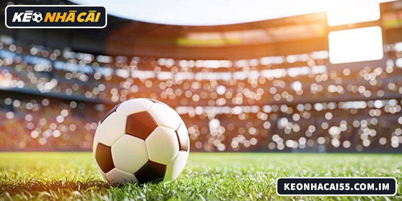 Livescore cập nhật tỷ số, lịch thi đấu bóng đá nhanh và chính xác