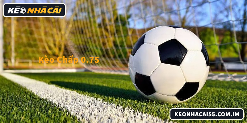 Phân tích kèo chấp 0.75, nên bắt cửa trên hay dưới